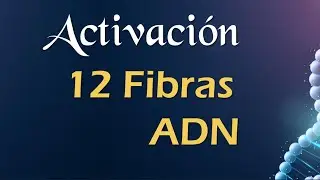 ACTIVACION 12 FIBRAS DE ADN