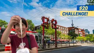 $20 Toronto Chinatown FOOD CHALLENGE! 5 Cheap Eats Toronto Food Tour!