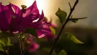 اكتب اسمك بسرعة#كتابة الأسامى بشكل جديد 🌟👍بدأت قناة 