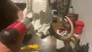 How to mount/deer shed with skull master from Amazon/ 🦌🦌🦌 caza cuernos de venado cola blanca
