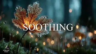 Peaceful Acoustic Guitar & Piano for Deep Relaxation | Nature Sleep Music, Stress Relief
