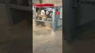 Modern Sawmill Machinery in Action