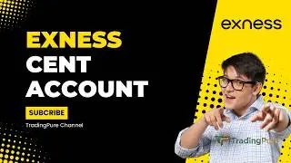 Exness Cent Account: Why Every Serious Trader Should Have One (2025)