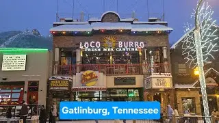 Loco Burro Mexican Restaurant - Snowy Day In Gatlinburg, TN