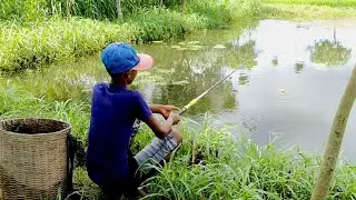 Best Hook Fishing | Smart Boy Catching fish by hook | Traditional Hook Fishing !!@ Part_78