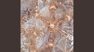 Data Mine