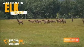 Wisconsin Elk Hunt