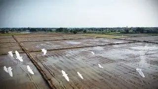 The effect of rain on soil and plants is very important | Effect of Rain on Agriculture | Part 2
