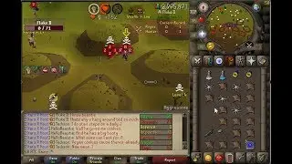 l 60 ATK PURE PK COM 2 l