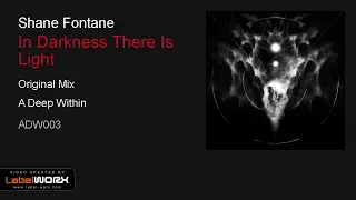 Shane Fontane - In Darkness There Is Light (Original Mix)