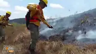 Massive Wildfires Have Swept Through Thousands of Hectares in Bolivian Amazon