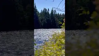 This little known hike in Rangeley is spectacular and ends with a mountain pond! #nature #maine