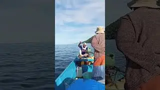 Strike tuna fish #shorts #strikeikanbesar #strikeikan
