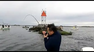 FAST ACTION NON-STOP BLACKFISH ( TAUTOG ) FISHING AROUND THE JETTY / ຕຶກປາດຳແບບບໍ່ໄດ້ຢຸດໃນເຫີງບຫີນ