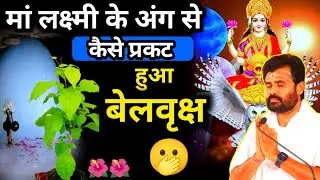 💯माता लक्ष्मी के अंग से कैसे प्रकट हुआ बेल वृक्ष ज़रूर सुनें 🥳✨// shiv Katha live @giribapuofficial 