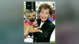 Judy (Dog)