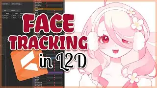 Как протестировать отслеживание модели в Live2D — УЧЕБНОЕ ПОСОБИЕ