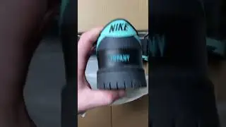 Nike Dunk Low x Tiffany & Co.