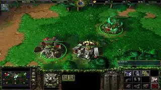 Night Elf vs Insane Undead │Warcraft III #1
