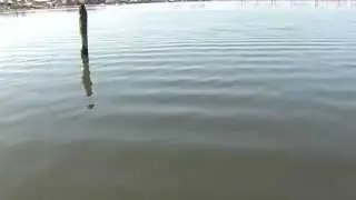 Alternate density waves 2