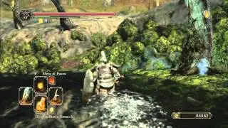 Dark Souls 2 Human Effigy Farming best method in the world (5 every minute)