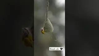 Nature 😍😍