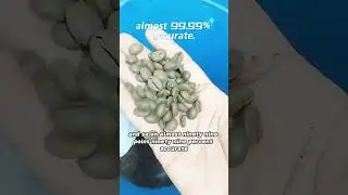 Color sorting machine suitable for coffee bean roaster