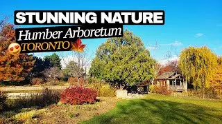 4K Walking Tour of Humber Arboretum | Toronto Nature Exploration