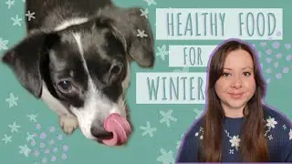 Turmeric paste for Dogs & Cats