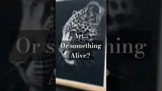 Wildlife Art in Charcoal. Leopard Portrait by South African Artist #wildlifeportrait