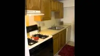 Fun and unique 3 floor home! Cat friendly, fitness... - Manchester, CT - For Rent