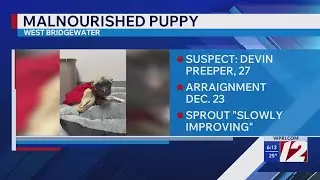 Police ID Taunton man found with emaciated dog