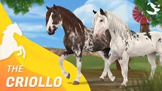 The Criollo ✨ | Star Stable Horses
