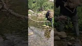 fly fishing experience in Sicily