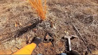 Scent Post Set For Coyote (KILLER SET)