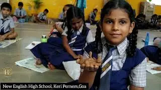 CLAY ART / NEW ENGLISH HIGH SCHOOL & PRIMARY SCHOOL/ KERI PERNEM , GOA