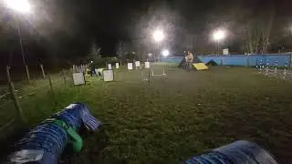 Wisp's Focus FAIL! 🤣 Cavalier King Charles Agility Class Gone WILD