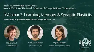 Webinar 3: Learning, Memory & Synaptic Plasticity