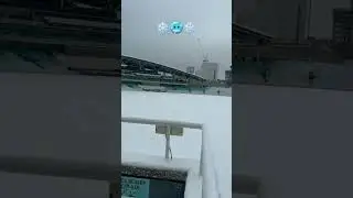 Kennington Oval🥶#shorts