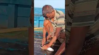 Wow‼️ Cooking Fresh Fish At Sea In Beautiful Look