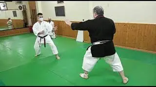 nihon taijitsu no kata sandan