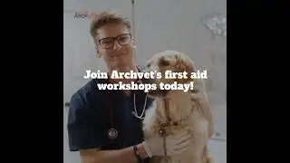 Pet First Aid Essentials
