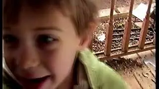 Misc. Home Movies (2003)