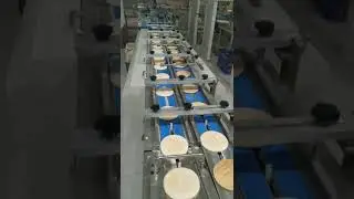 dual-channel cooking line/Provider of Automated Packaging Equipment and Solutions