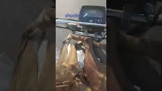 Thazi shooter