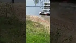 lake ferry walk