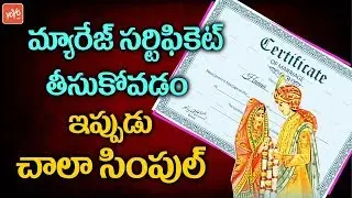 Marriage Certificate Registration Process | Marriage Registration Documents | YOYO TV Channel