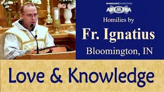 Intellect and Will in St Bonaventure - Jul 15 - Homily - Fr Ignatius
