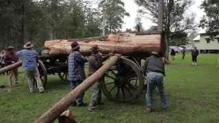 The Bullock Men