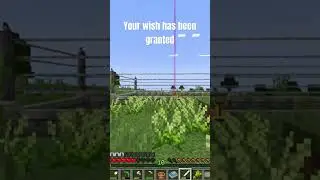 YOUR WISH HAS BEEN GRANTED #gaming #memes #minecraftmemes #paleocraft